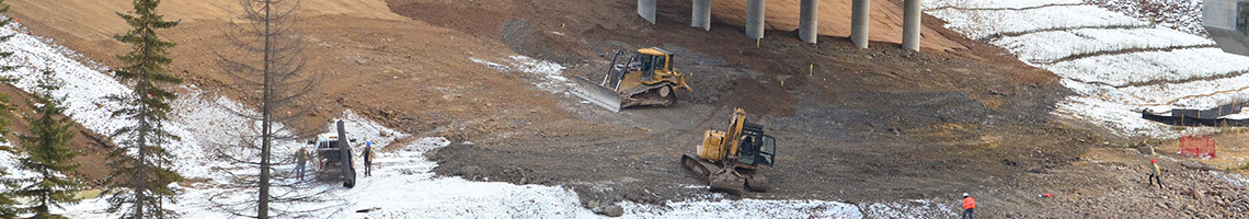 bridge environmental assessment