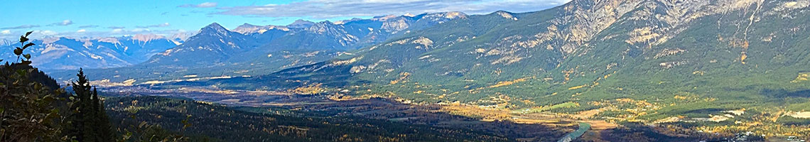 environmental study research