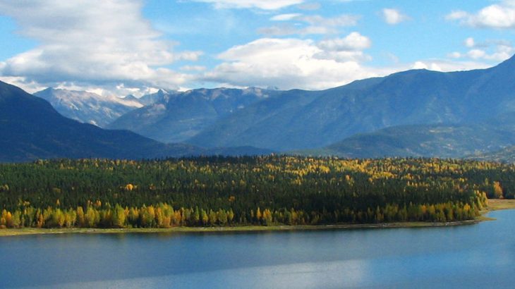 environmental consultant golden bc