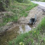 environmental impact study culvert