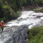 environmental consulting golden bc